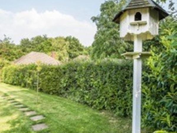 Knole B&B Севенокс Екстер'єр фото